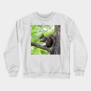 Squirrel Sitting Very Still Crewneck Sweatshirt